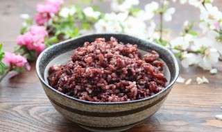 三色糙米和白米饭哪个热量高（三色糙米跟白米哪个热量高）-九图集