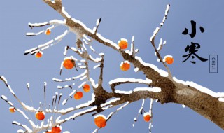 哪个节气开始冷（最冷的节气是哪个节气）-九图集