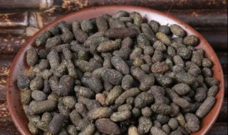 五灵脂的营养价值 五灵脂的作用-九图集