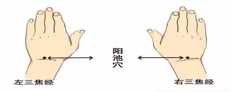 针灸阳池的方法 阳池针灸准确位置图和作用