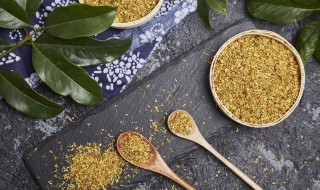 薄荷桂花茶有哪些功效 桂花加薄荷有什么功效