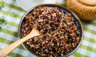 藜麦熬粥为什么有点苦 藜麦粥容易煮吗