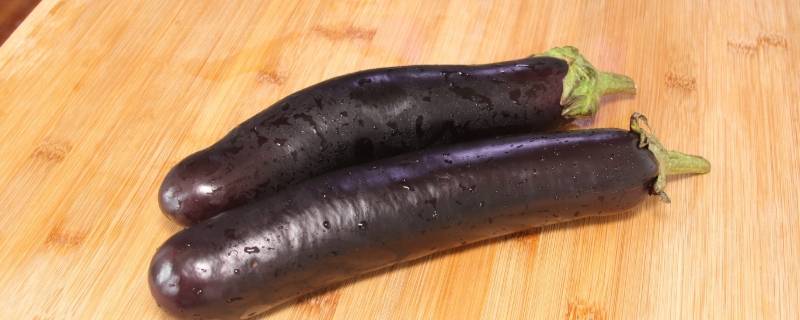 茄子怎么挑 茄子怎么挑选嫩的-九图集