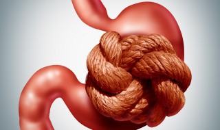 吃夏威夷果会导致胃不舒服吗（胃不舒服能吃夏威夷果吗?）