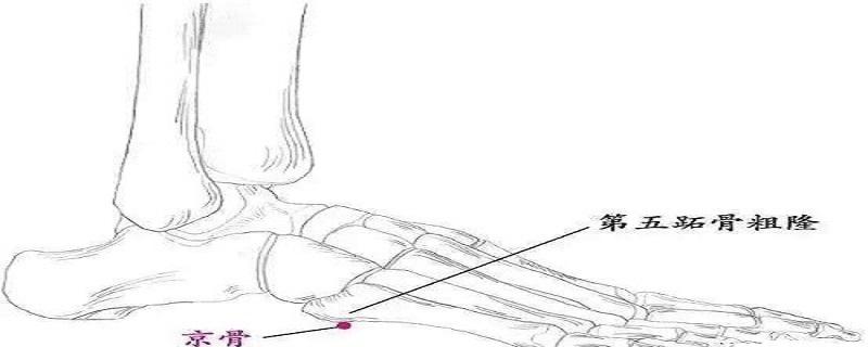 京骨的位置图和作用（京骨准确位置图作用）