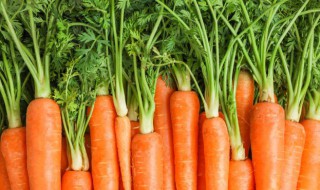 萝卜和虾米可以一起吃吗（萝卜和虾米可以一起吃吗?）