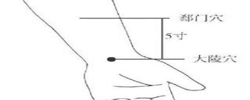 郄门的准确位置及作用 郄门的定位