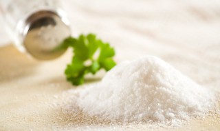盐为什么不能煮 盐不能煮太长时间吗-九图集