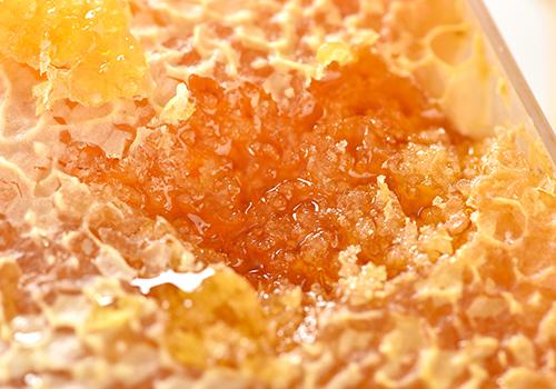 土蜂蜜对肝有什么功效 土蜂蜜对肝脏有好处-九图集