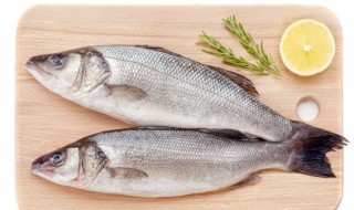 鲈鱼为何要少吃 淡水鲈鱼为何要少吃-九图集