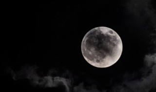 为什么一周是七天 为什么一周是七天呢