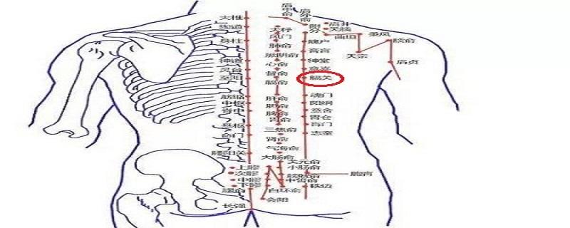 膈关疼痛是什么原因 膈关酸胀是什么原因