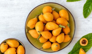 大花枇杷的养殖方法（枇杷小盆栽种植方法）