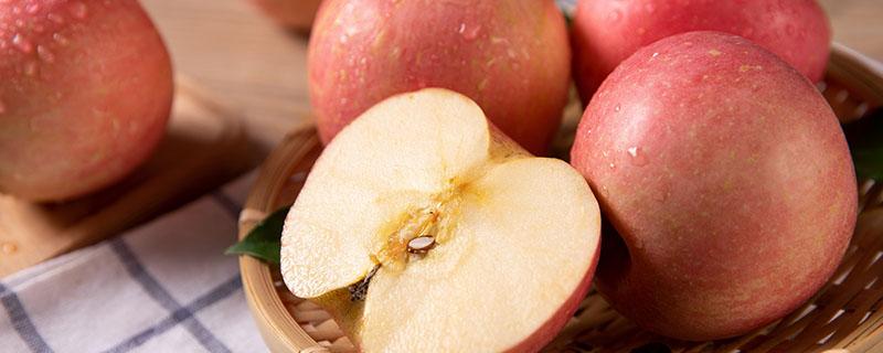 去湿气什么食物疗效最好（去湿气什么食物疗效最好的）