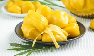 菠萝蜜太熟了肉发软能吃吗(菠萝蜜果肉有点软了可以吃了吗)-九图集