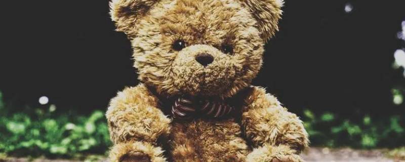 1米8的毛绒熊怎么洗(2米毛绒大熊怎么清洗)