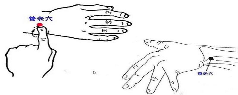 养老的准确位置图视频(养老的准确位置图和作用视频)