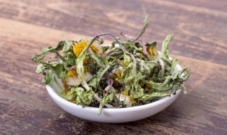 苦丁茶的营养价值(苦丁茶的营养价值 表)