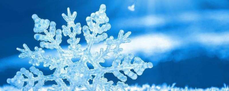 雪花种类 雪花种类图片大全-九图集