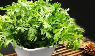 11月份吃什么蔬菜 11月份吃什么蔬菜养生-九图集