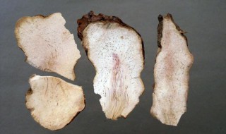 茯苓的营养价值（茯苓的营养价值和禁忌）-九图集