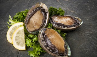 如何清洗活鲍鱼 活鲍鱼怎么处理清洗-九图集