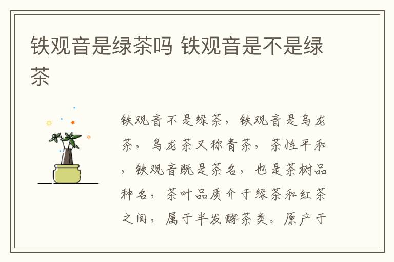 铁观音是绿茶吗 铁观音是不是绿茶-九图集