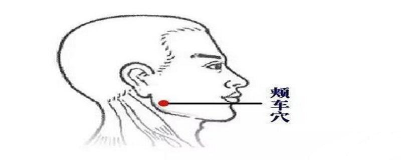 颊车的针刺方法(针灸颊车的功效)