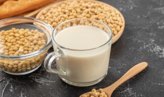 可以将豆子煮熟再打豆浆么 打豆浆先把豆子煮熟可以吗