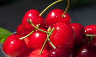 车厘子是xL好还是J好(车厘子XL和J哪个好)-九图集