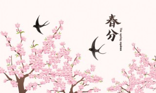 春分节气起居养生（春分时节的养生）-九图集