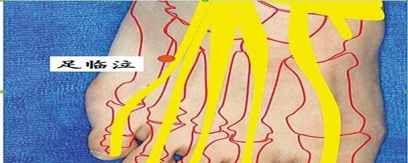 足临泣回奶的具体位置 足临泣的位置在哪里-九图集