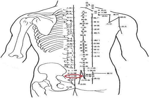 中髎的准确位置图 中髎的准确位置图和作用-九图集