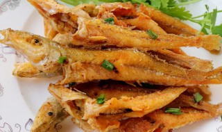 沙尖鱼有什么营养价值（尖沙鱼的营养）