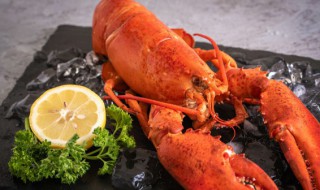 大龙虾头部绿色能吃吗（大龙虾头绿色的能吃吗?）