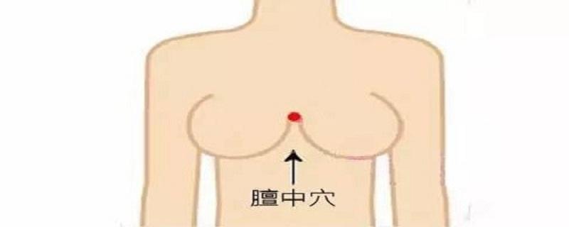 膻中的准确位置图 膻中的准确位置图 图解