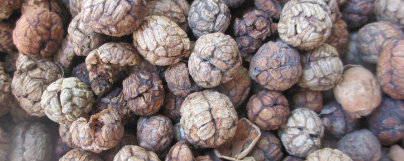 草蔻在调料中起什么作用（草豆蔻在调料中起什么作用）