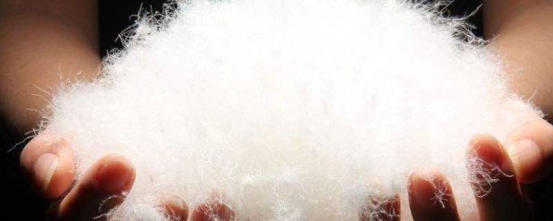 国标90绒什么意思（90国标绒和90达标绒的区别）-九图集