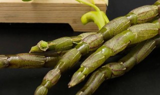 石斛的营养价值（石斛的营养价值及功效成分）