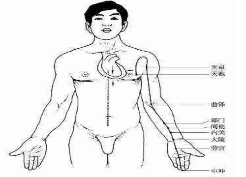 手厥阴心包经循行图（手厥阴心包走向路线图）-九图集