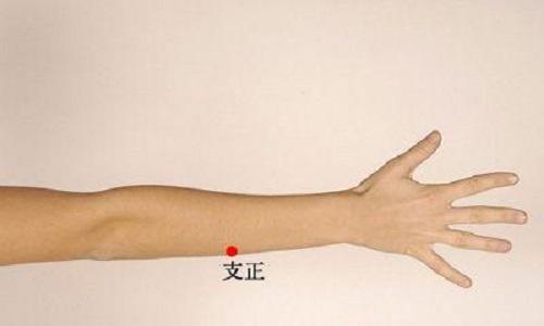 支正的准确位置图 支正的准确位置图片及功效
