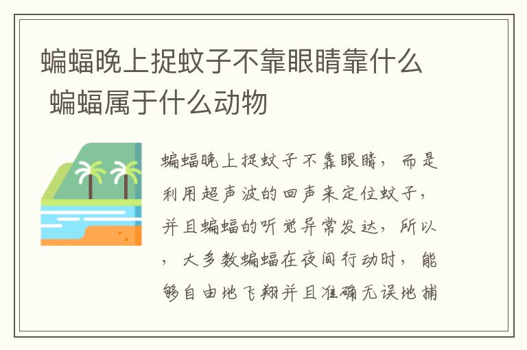 蝙蝠晚上捉蚊子不靠眼睛靠什么 蝙蝠属于什么动物