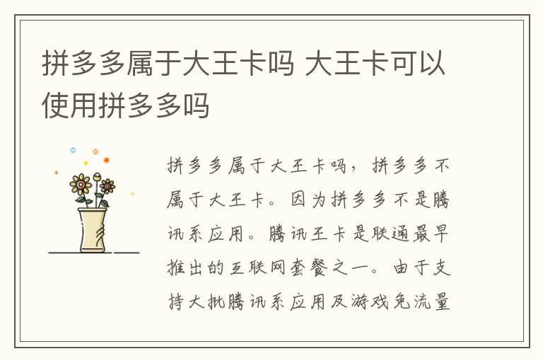 拼多多属于大王卡吗 大王卡可以使用拼多多吗