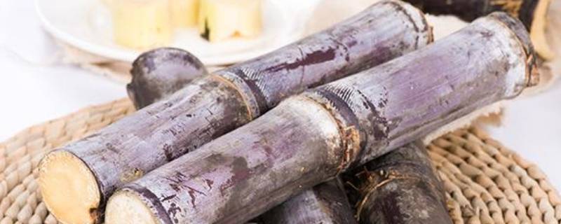 甘蔗寓意（搬家甘蔗寓意）