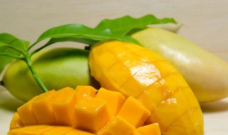 芒果干不能和什么一起吃（芒果干不能和什么一起吃会致命）-九图集