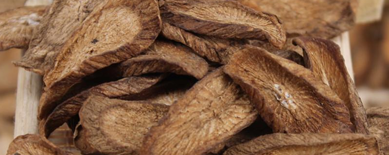 湿气重喝牛蒡茶有用吗(湿气重喝牛蒡要怎么喝)