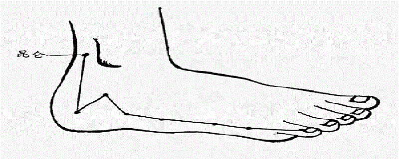 按摩昆仑作用（按摩昆仑很疼）-九图集