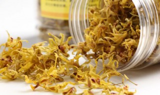 石斛花泡水能天天喝吗 长期喝石斛花泡水有哪些功效?-九图集