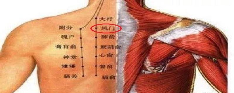 风门的针刺方法 惊风门针法-九图集