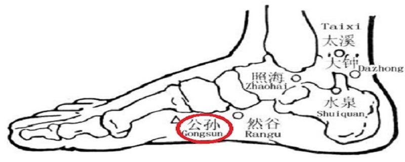 按摩公孙的最佳时间 公孙的准确位置图和按摩手法-九图集